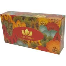 تصویر 4 از دستمال کاغذی رعنا بسته‌ بندی شیک و مناسب استفاده خانگی